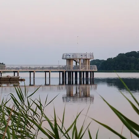 Nienovo - Niedaleko Jeziora I Widok Na Arboretum Kórnik