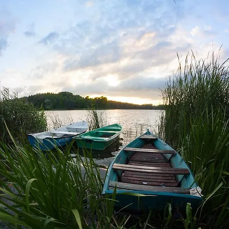 Nienovo - Niedaleko Jeziora I Widok Na Arboretum