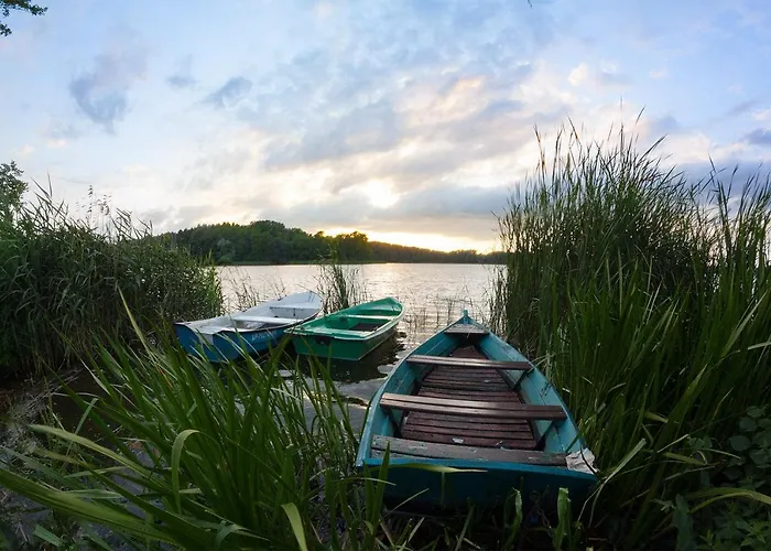 Nienovo - Niedaleko Jeziora I Widok Na Arboretum