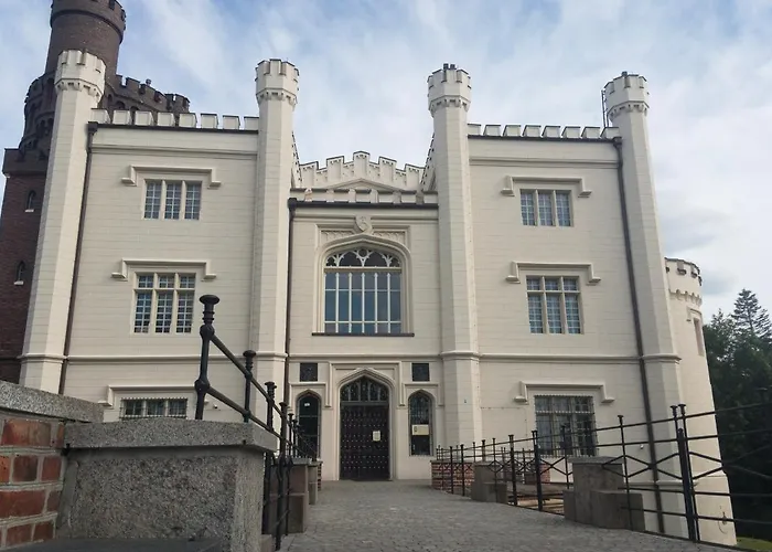 Nienovo - Niedaleko Jeziora I Widok Na Arboretum *