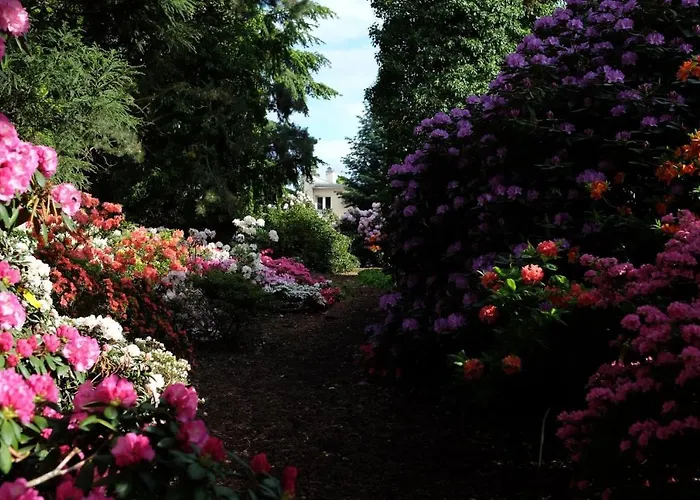 Nienovo - Niedaleko Jeziora I Widok Na Arboretum Apartment *