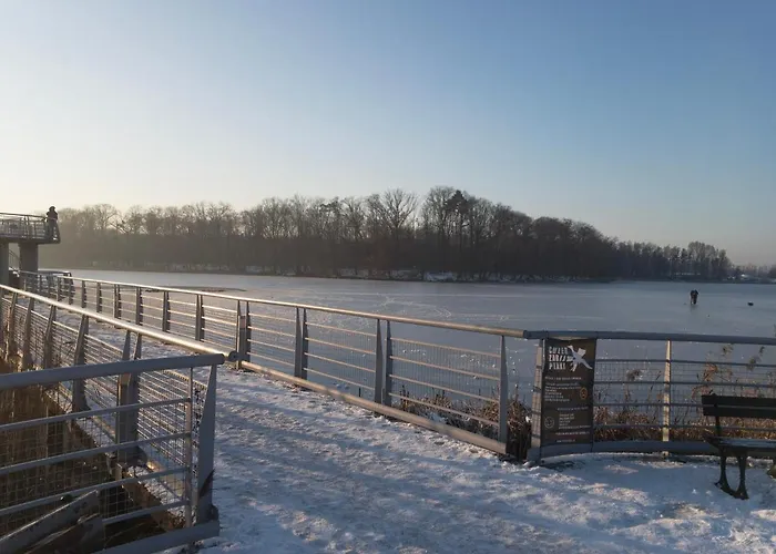 Nienovo - Niedaleko Jeziora I Widok Na Arboretum